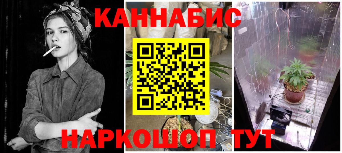 Канабис план Истра